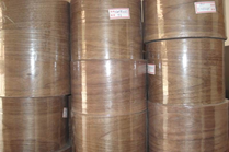 黑胡桃木皮 黑胡桃木皮